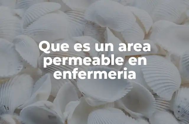 Que es un Area Permeable en Enfermeria