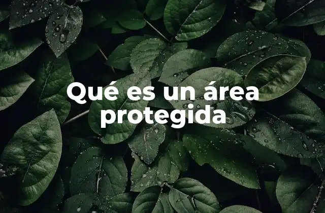 Qué es un Área Protegida