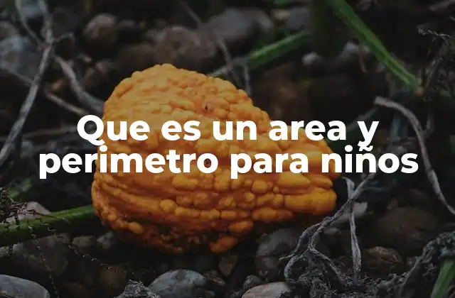 Que es un Area y Perimetro para Niños 2 Cómo explicar el perímetro y el área de forma comprensible