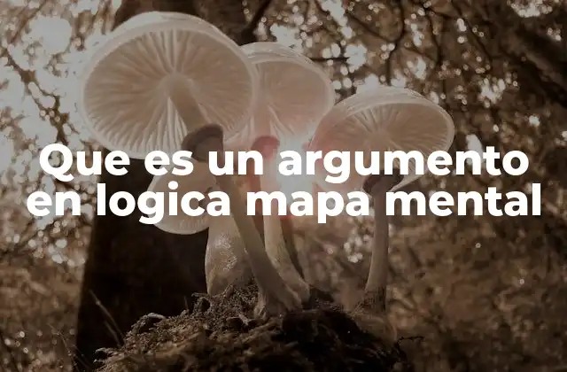 Que es un Argumento en Logica Mapa Mental