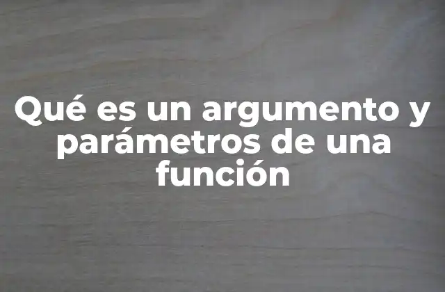 Qué es un Argumento y Parámetros de una Función
