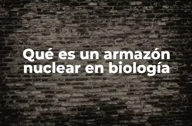 Qué es un Armazón Nuclear en Biología