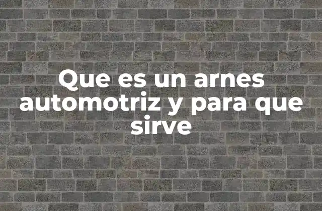 Que es un Arnes Automotriz y para que Sirve