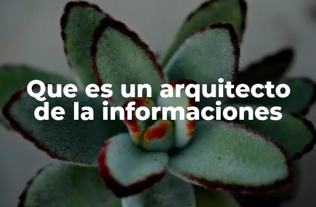 Que es un Arquitecto de la Informaciones 2 El rol del arquitecto de la información en el diseño digital