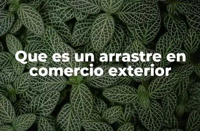 Que es un Arrastre en Comercio Exterior