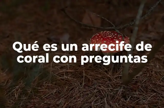 La importancia ecológica de los arrecifes de coral