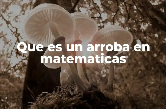 Que es un Arroba en Matematicas