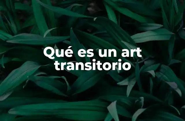 Qué es un Art Transitorio