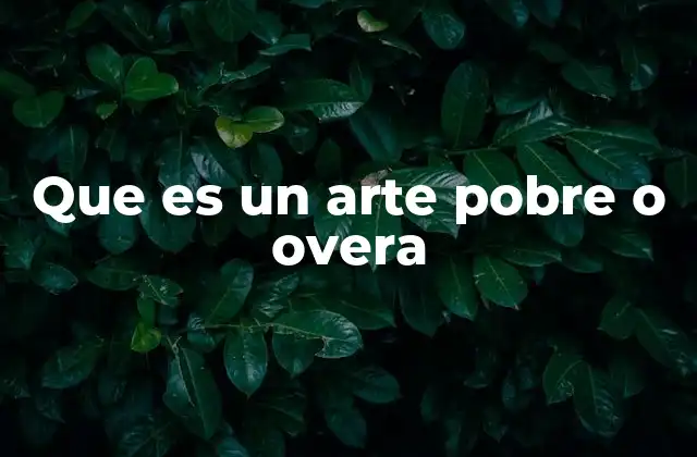 Que es un Arte Pobre o Overa