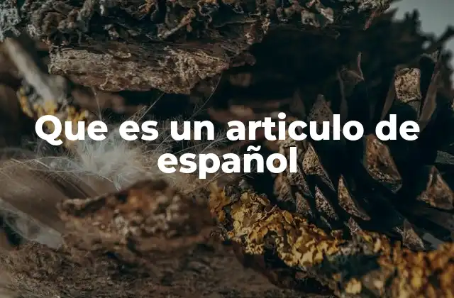 Que es un Articulo de Español