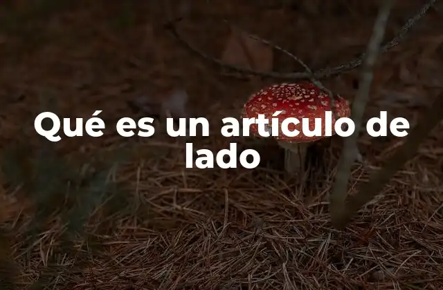 Qué es un Artículo de Lado