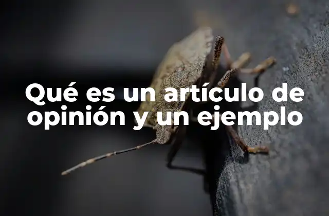 Qué es un Artículo de Opinión y un Ejemplo