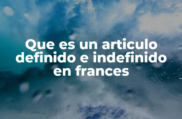 Que es un Articulo Definido e Indefinido en Frances
