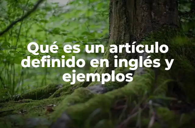Qué es un Artículo Definido en Inglés y Ejemplos