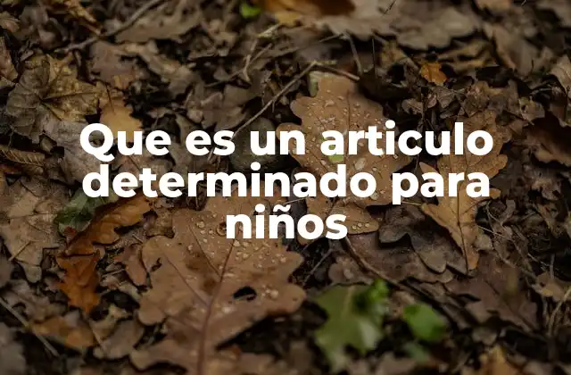 Que es un Articulo Determinado para Niños