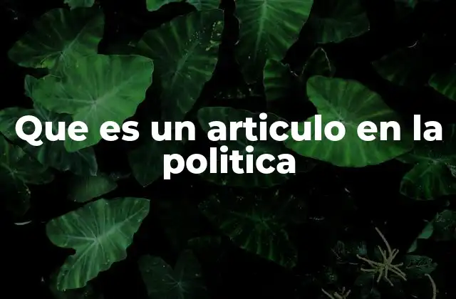 Que es un Articulo en la Politica