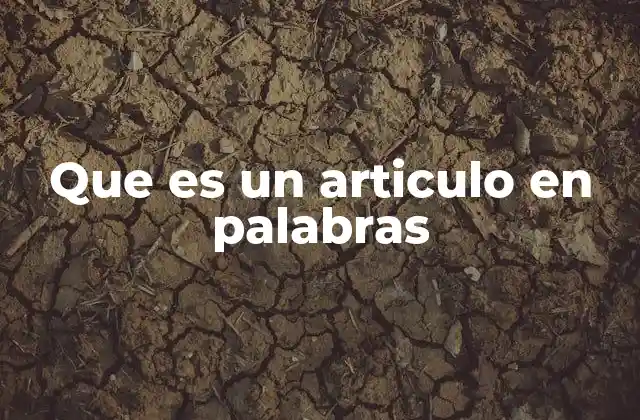 Que es un Articulo en Palabras