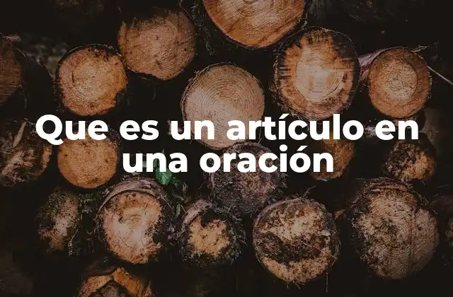 Que es un Artículo en una Oración