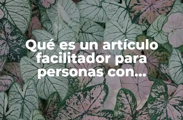 Qué es un Artículo Facilitador para Personas con Capacidades Especiales