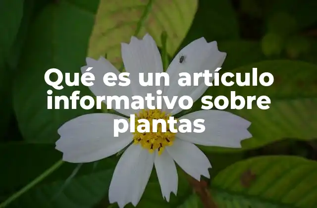Qué es un Artículo Informativo sobre Plantas 2 La importancia de los textos informativos en el estudio de la botánica