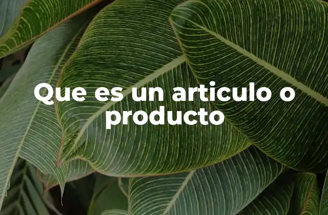 Que es un Articulo o Producto