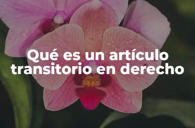 Qué es un Artículo Transitorio en Derecho 2 La importancia de los artículos transitorios en el sistema legal