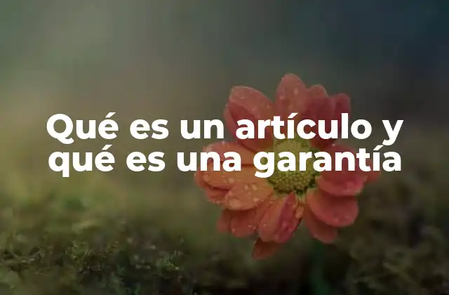 Qué es un Artículo y Qué es una Garantía 2 La relación entre productos y promesas de calidad