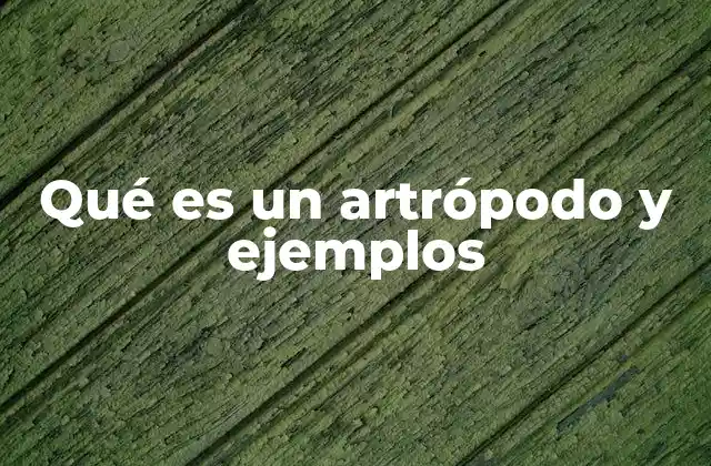 Qué es un Artrópodo y Ejemplos