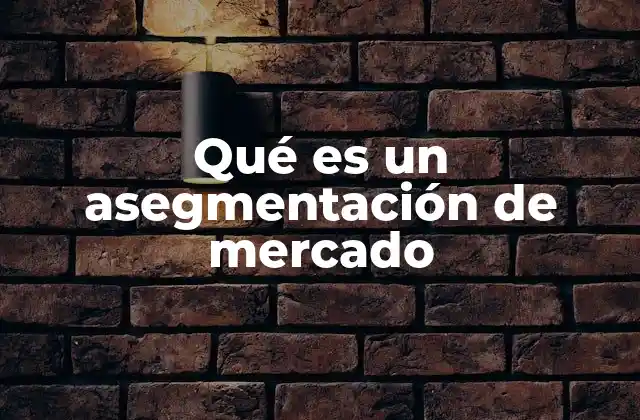 Qué es un Asegmentación de Mercado