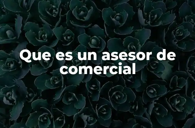 Que es un Asesor de Comercial