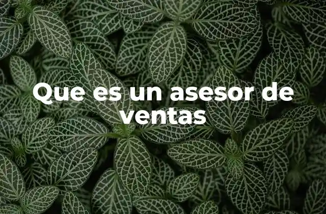 Que es un Asesor de Ventas 2 El rol del asesor de ventas en el ecosistema empresarial