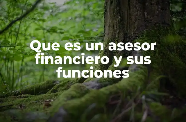 Que es un Asesor Financiero y Sus Funciones
