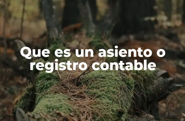 Que es un Asiento o Registro Contable