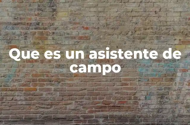 Que es un Asistente de Campo