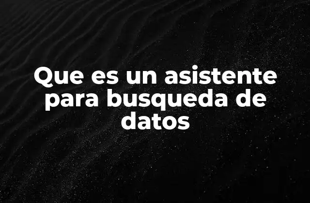 Que es un Asistente para Busqueda de Datos
