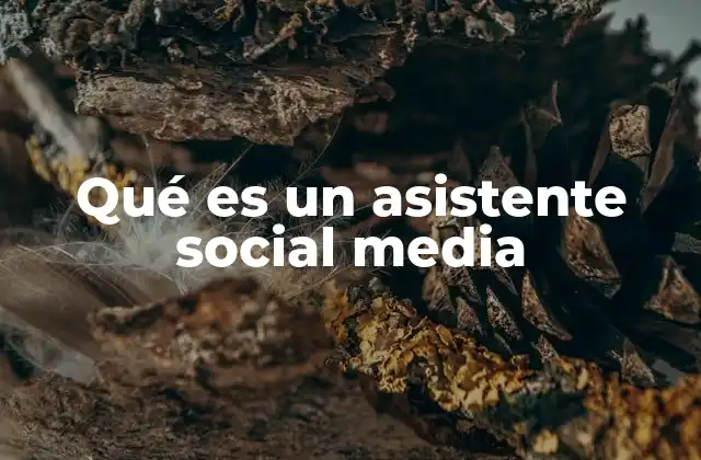 Qué es un Asistente Social Media 2 La importancia del rol en el marketing digital