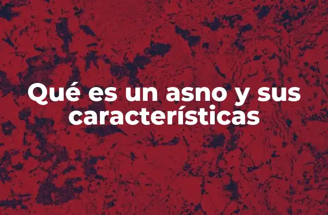 Qué es un Asno y Sus Características
