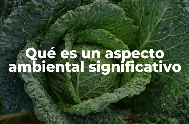 Qué es un Aspecto Ambiental Significativo