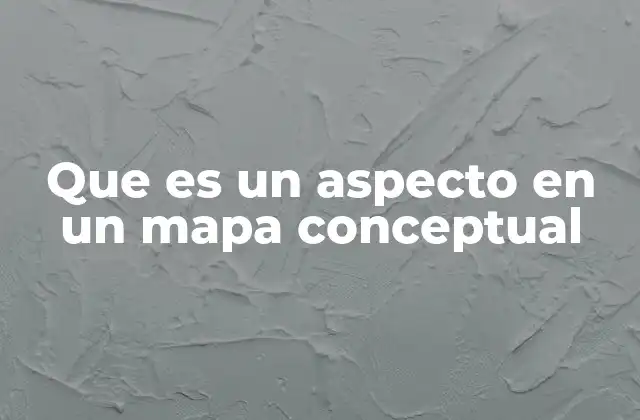 Que es un Aspecto en un Mapa Conceptual