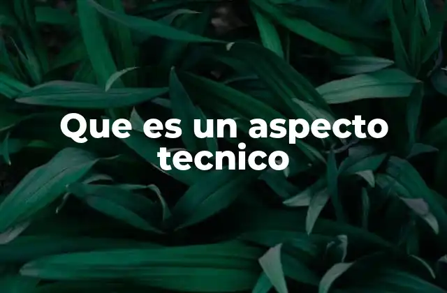 Que es un Aspecto Tecnico