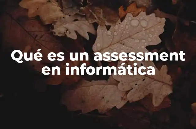 Qué es un Assessment en Informática