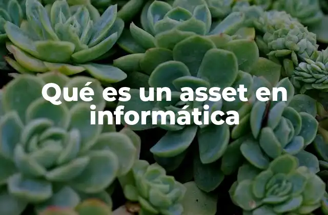Qué es un Asset en Informática