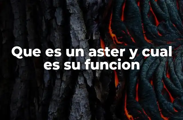 Que es un Aster y Cual es Su Funcion