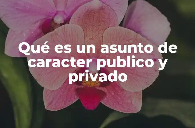 Qué es un Asunto de Caracter Publico y Privado