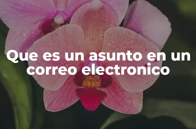 Que es un Asunto en un Correo Electronico