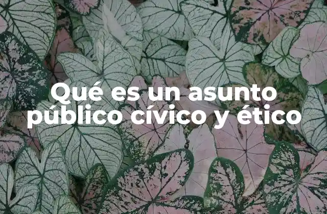 Qué es un Asunto Público Cívico y Ético