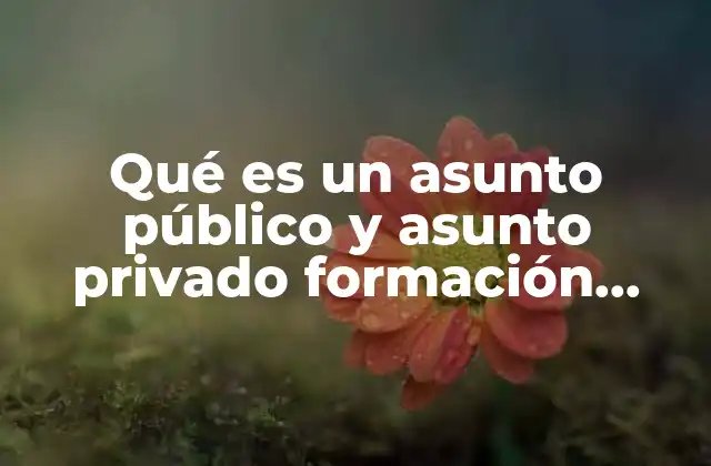 Qué es un Asunto Público y Asunto Privado Formación Cívica