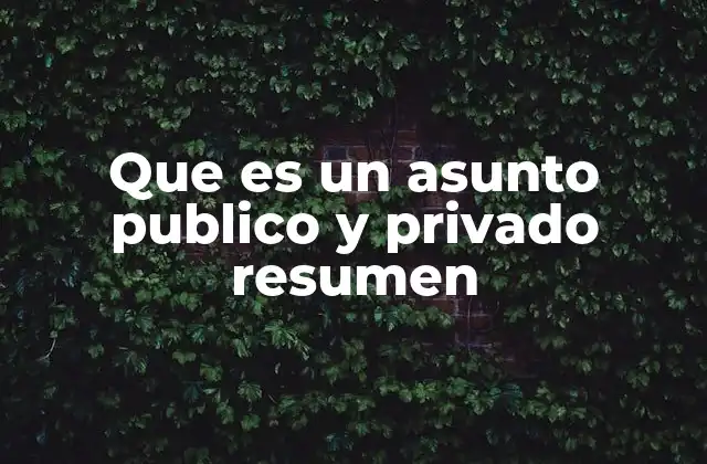 Que es un Asunto Publico y Privado Resumen