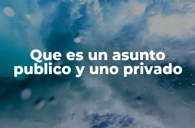 Que es un Asunto Publico y Uno Privado