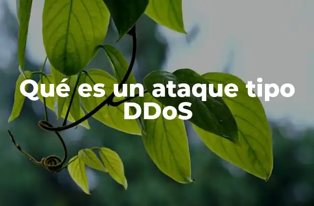 Qué es un Ataque Tipo Ddos